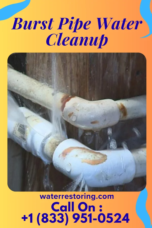 Burst Pipe Water Cleanup in Geneva, NY