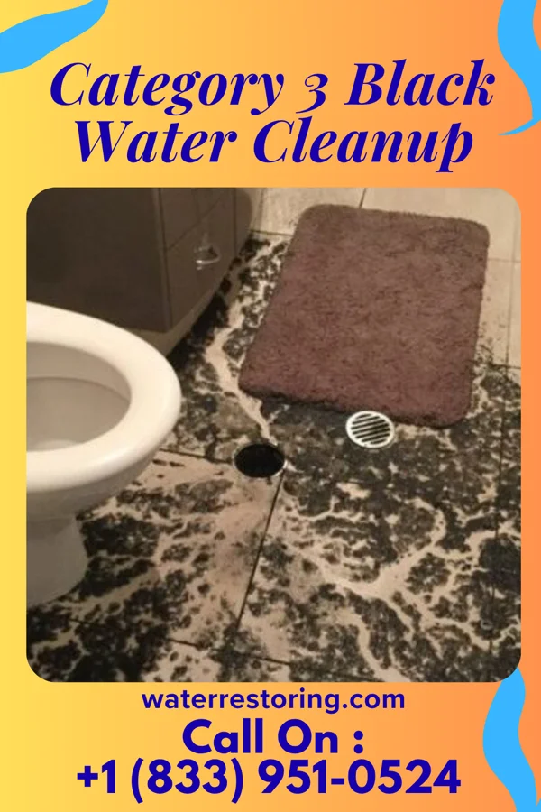 Category 3 Black Water Cleanup in Geneva, NY