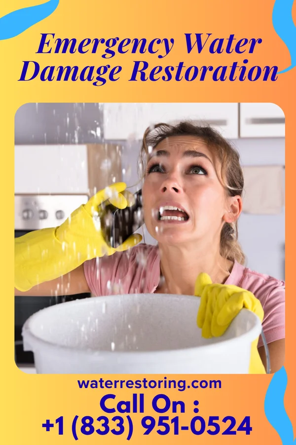 Emergency Water Damage Restoration in Geneva, NY