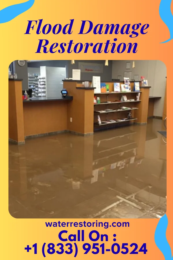 Flood Damage Restoration in Geneva, NY