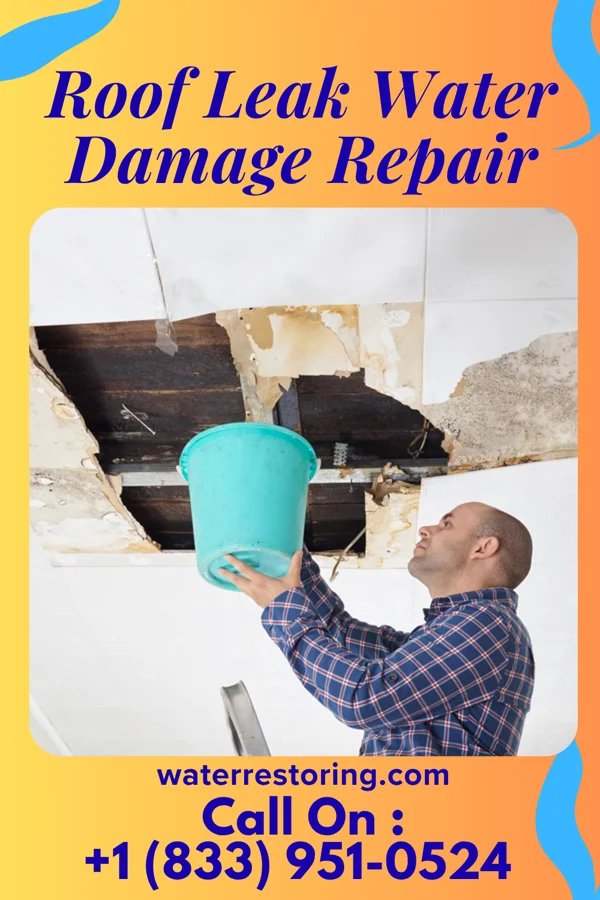Roof Leak Water Damage Repair in Geneva, NY