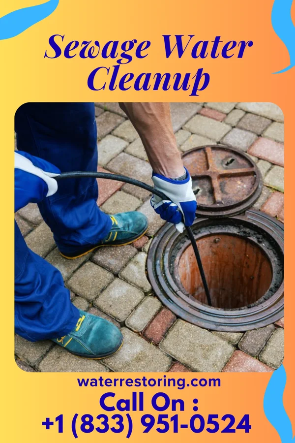 Sewage Water Cleanup in Geneva, NY